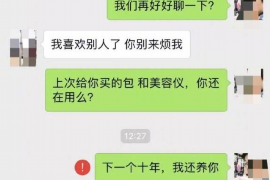 化隆为什么选择专业追讨公司来处理您的债务纠纷？