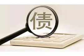 化隆遇到恶意拖欠？专业追讨公司帮您解决烦恼